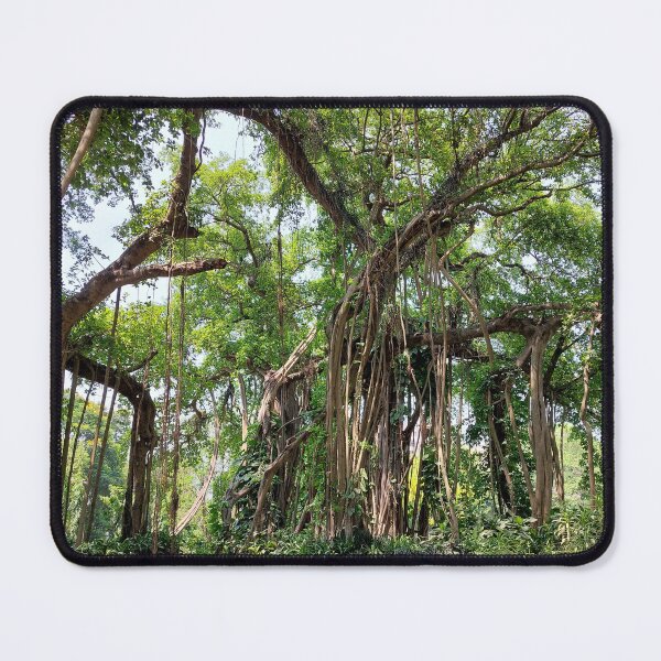 Item preview, Banyan Tree designed and sold by Bubble-Burst.