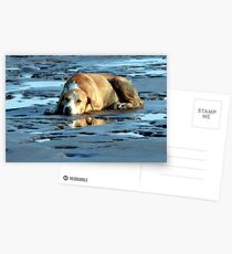 ~~~*** relaxing ***~~~ Postcards