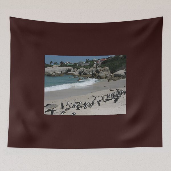 Item preview, Boulders Beach, Table Mountain National Park, South Africa designed and sold by vadim19.