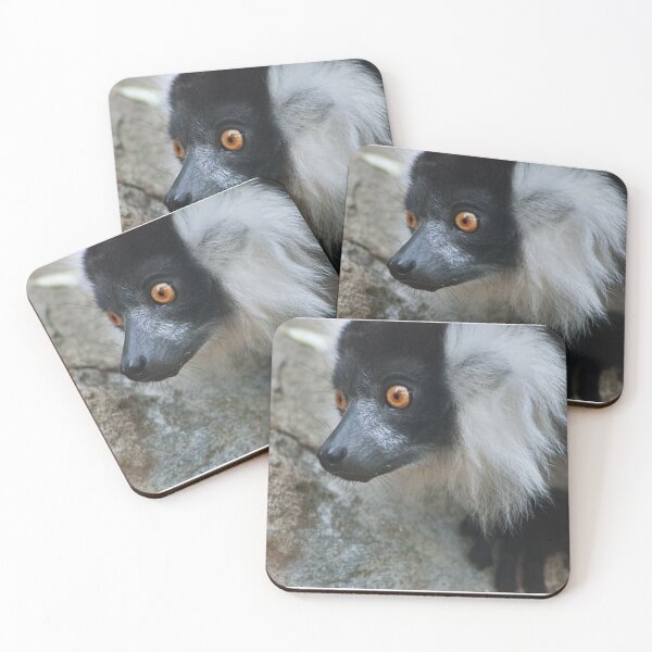 Item preview, Lemur designed and sold by MorellaPhotos.