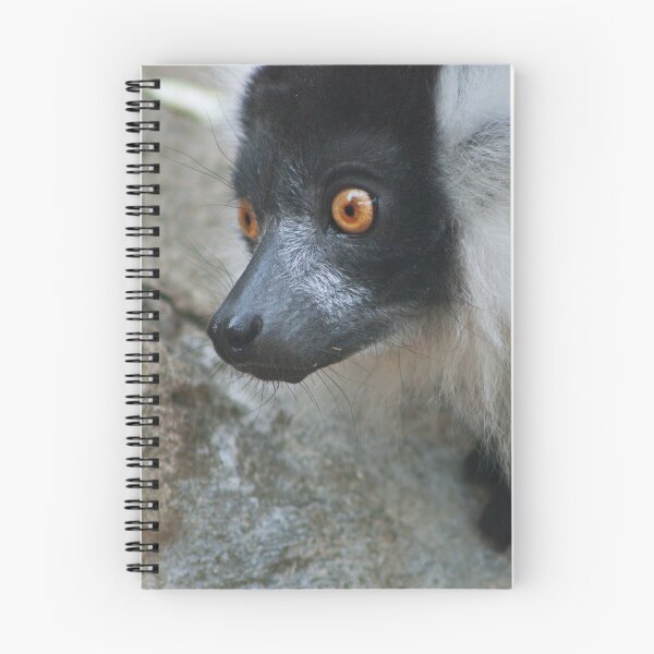 Item preview, Lemur designed and sold by MorellaPhotos.