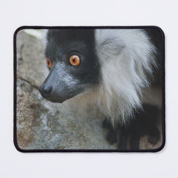Item preview, Lemur designed and sold by MorellaPhotos.