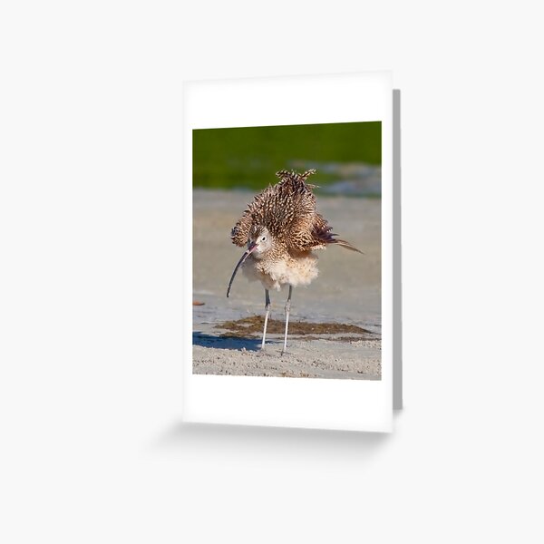 Fluffy Greeting Card