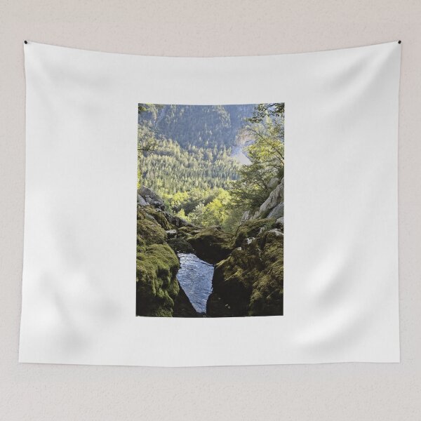 Item preview, View from the source of the Soca River in Slovenia designed and sold by colliophoto.