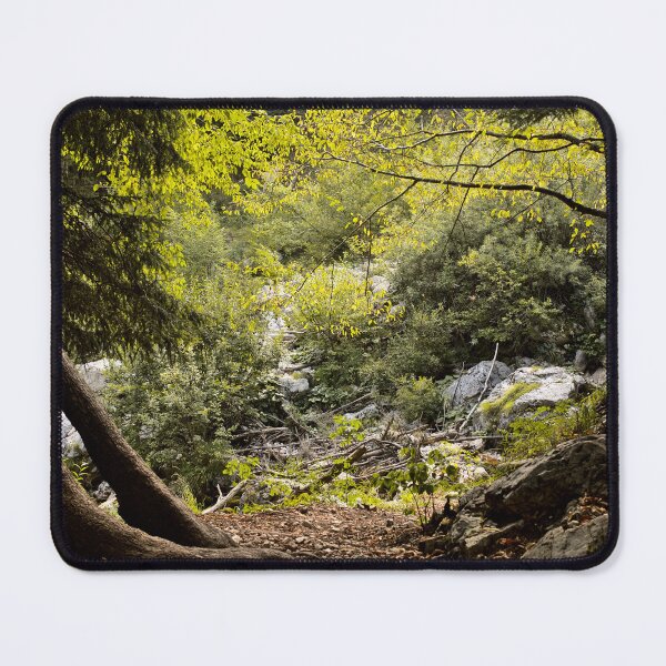 Item preview, View through some trees in the Slovenian Alps designed and sold by colliophoto.
