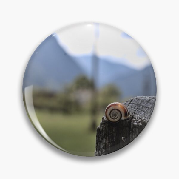 Item preview, A snail on a fence post in Val Trenta in the Alps designed and sold by colliophoto.