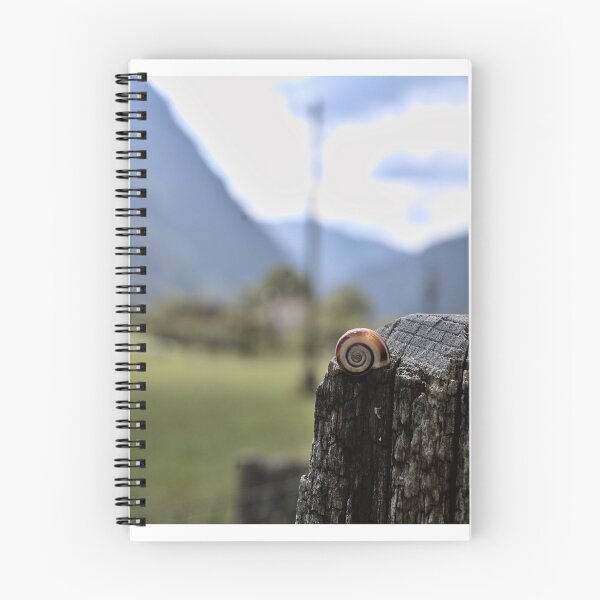 Item preview, A snail on a fence post in Val Trenta in the Alps designed and sold by colliophoto.