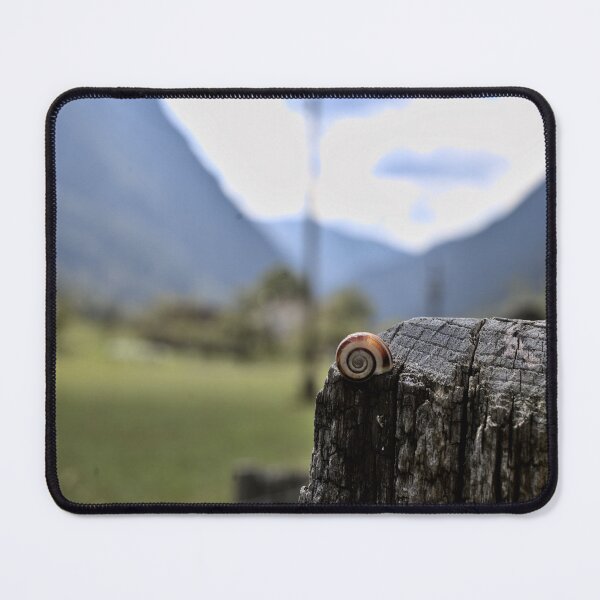 Item preview, A snail on a fence post in Val Trenta in the Alps designed and sold by colliophoto.