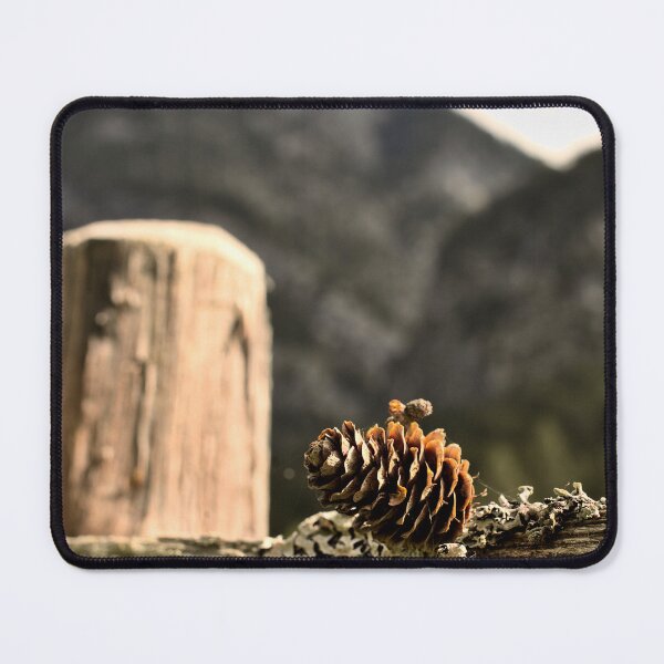 Item preview, A pine cone and lichen on an old fence post in the Alps designed and sold by colliophoto.