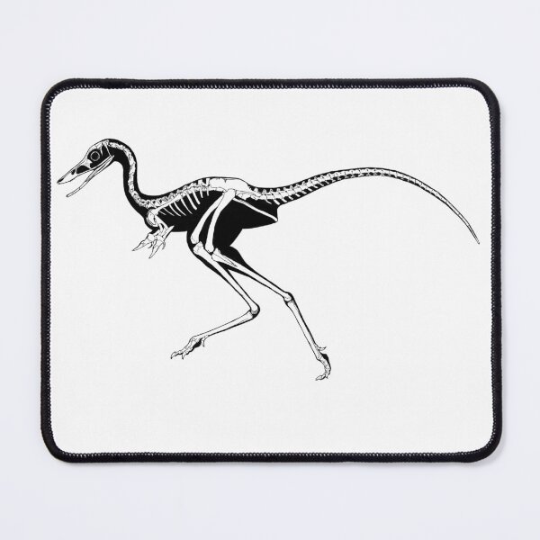 Item preview, Jaculinykus fossil  designed and sold by AderynValentine.