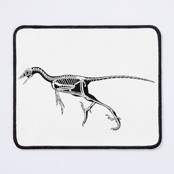 Item preview, Archeopteryx fossil designed and sold by AderynValentine.
