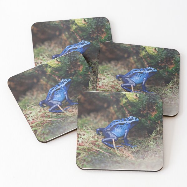 Item preview, Poison Dart Frog designed and sold by MorellaPhotos.