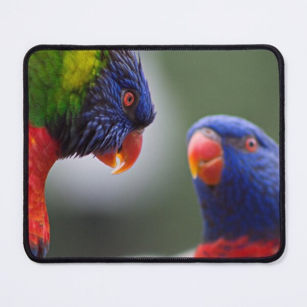 Item preview, Lorikeets designed and sold by MorellaPhotos.