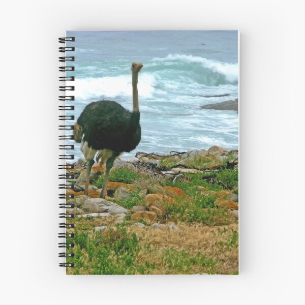 Item preview, Ostrich, Cape Point Nature Reserve, South Africa designed and sold by vadim19.