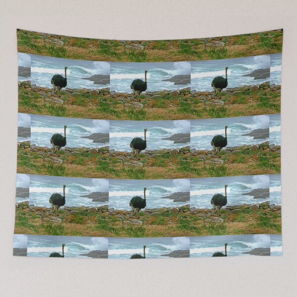 Item preview, Ostrich, Cape Point Nature Reserve, South Africa designed and sold by vadim19.