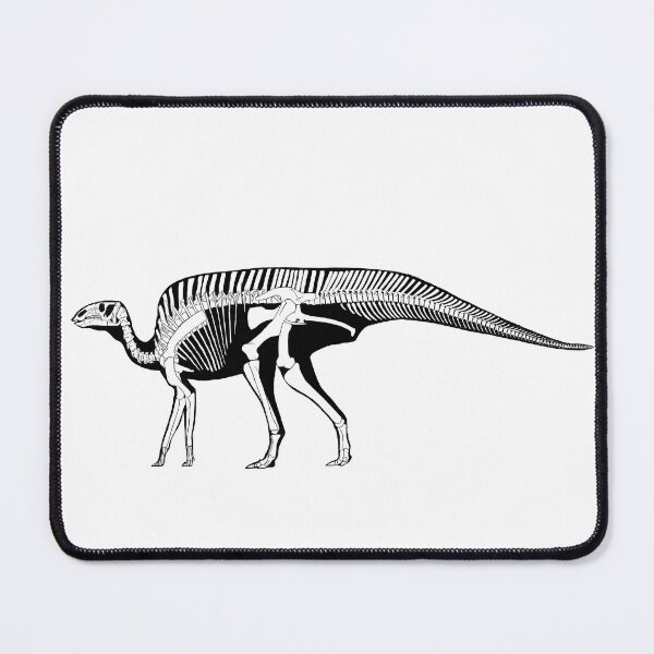 Item preview, Zhanghenglong fossil  designed and sold by AderynValentine.
