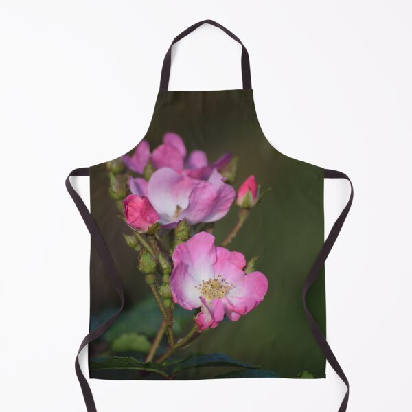Item preview, Old rose designed and sold by CatherineMoore4.