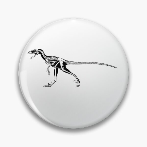 Artikelvorschau, Bambiraptor-Fossil entworfen und verkauft von AderynValentine.