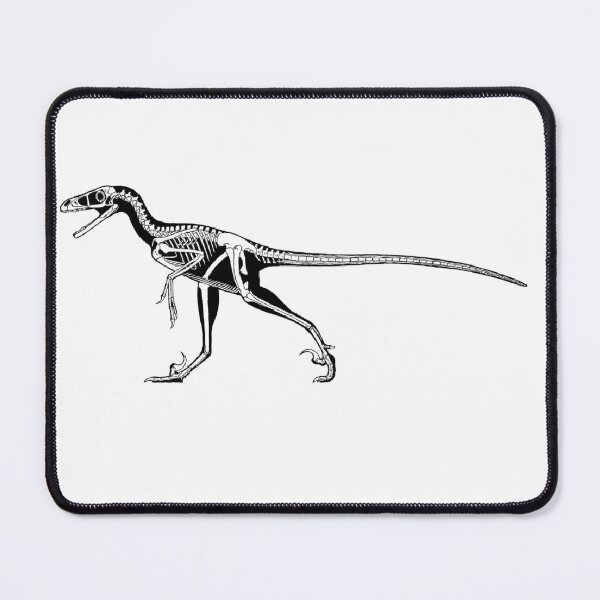 Item preview, Bambiraptor fossil designed and sold by AderynValentine.