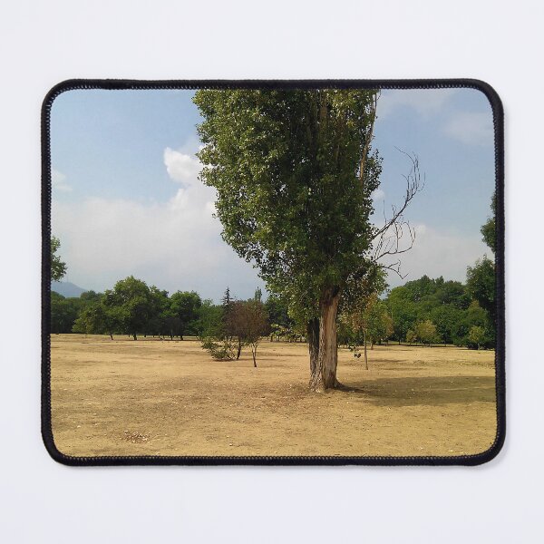 Item preview, Poplar tree in the park designed and sold by mariya-ivanova.