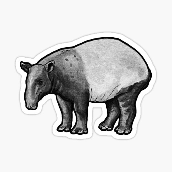 Vista previa del artículo con la obra «Tapir malayo (Tapirus indicus)», diseñado y vendido por ItalianElephant.
