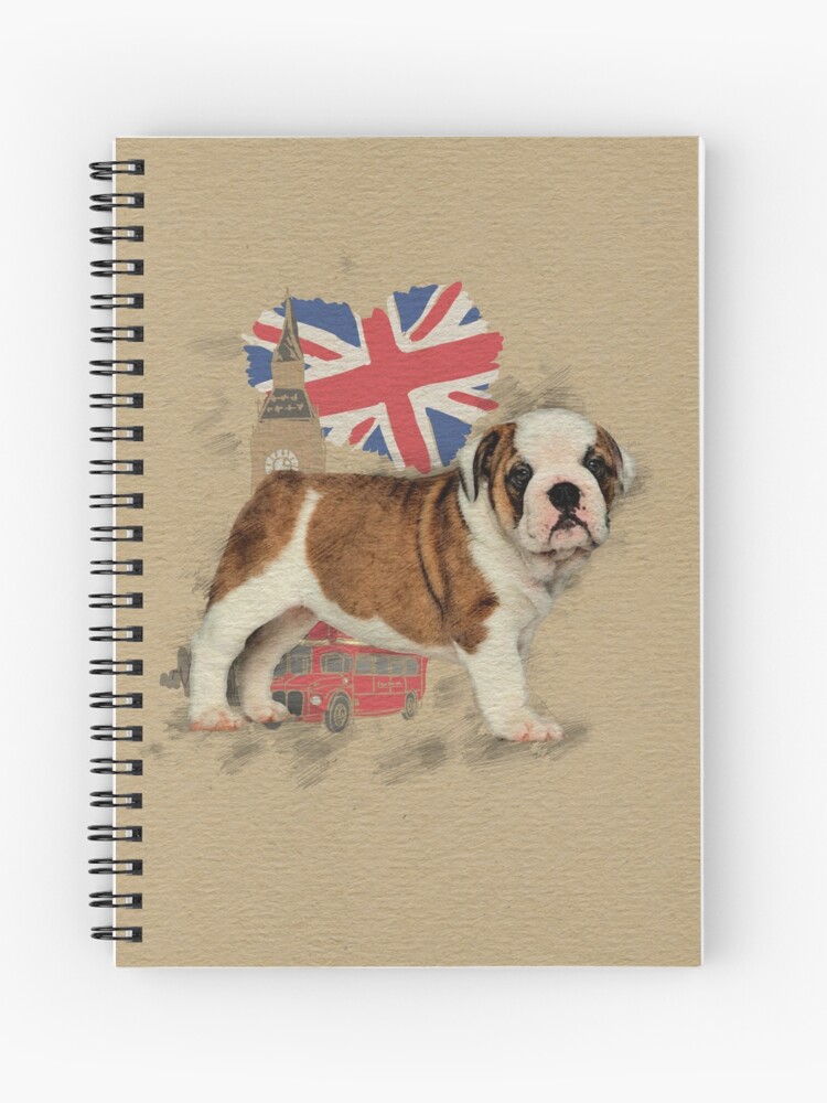 Bosquejo perro raza bulldog inglés | Vector Premium