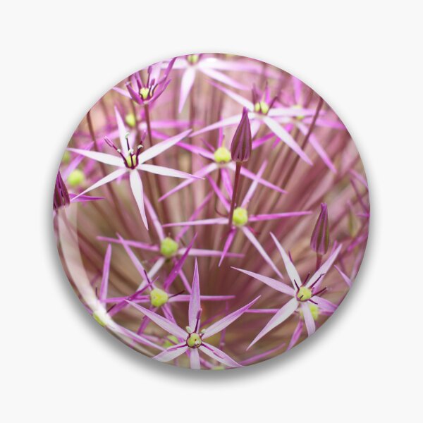 Item preview, estrella de persia designed and sold by MorellaPhotos.