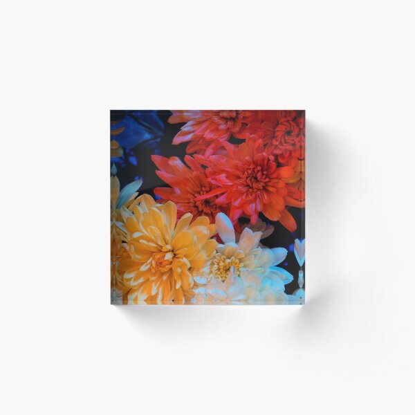 Rainbow flowers Acrylic Block