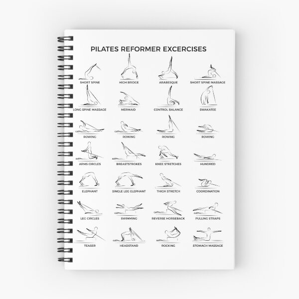 Item preview, Pilates reformer exercises designed and sold by sashica.
