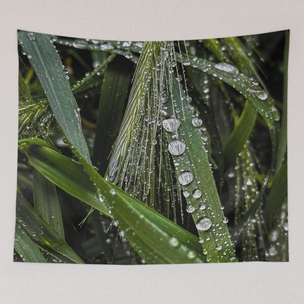 Item preview, Close-up view of green grass blades with raindrops designed and sold by PavlinaBFDesign.