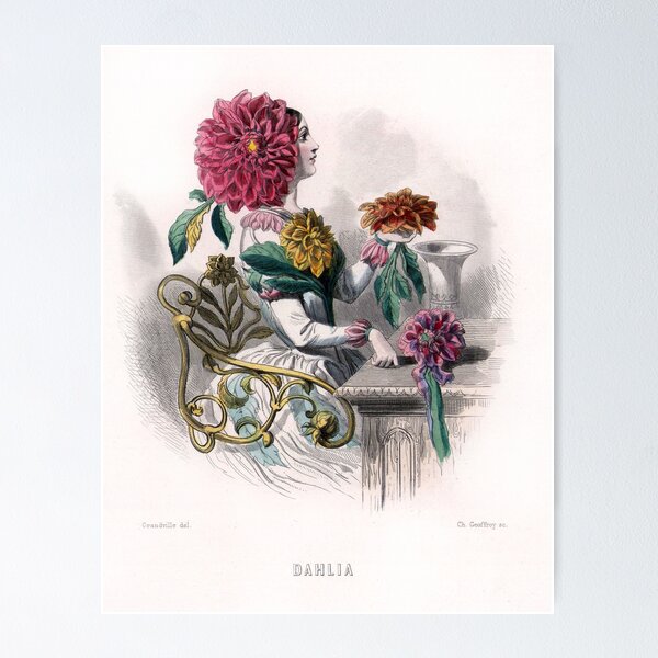 Item preview, Dahlia flower fairy designed and sold by Donkey's Salad.