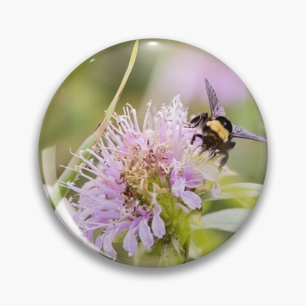 Item preview, Bumblebee on bergamot flower designed and sold by KRFNatureGifts.