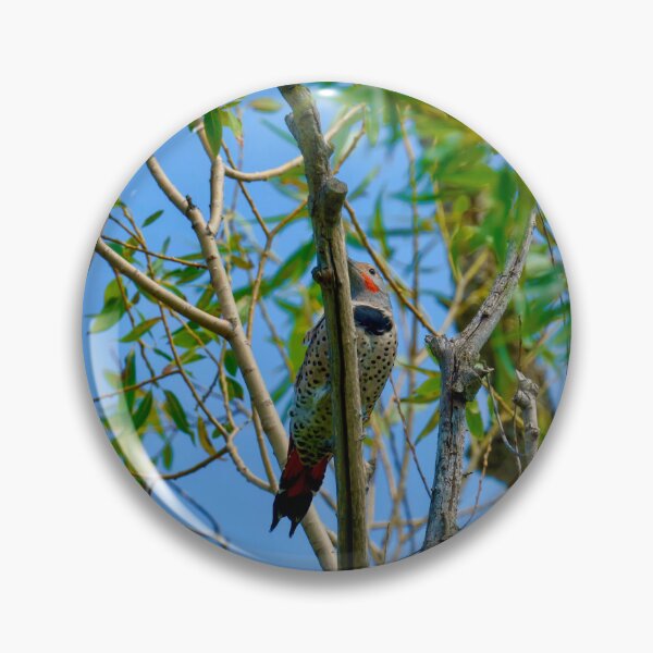 Item preview, Northern Flicker in tree designed and sold by Cblifeisgood.