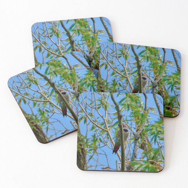 Item preview, Northern Flicker in tree designed and sold by Cblifeisgood.