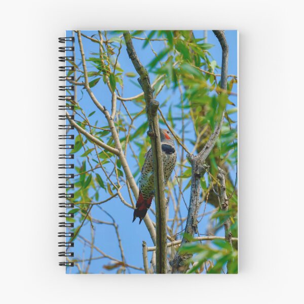 Item preview, Northern Flicker in tree designed and sold by Cblifeisgood.
