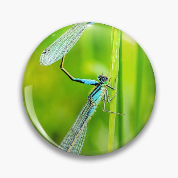 Item preview, Common Blue Macro Damselflies Mating designed and sold by Jim Key.