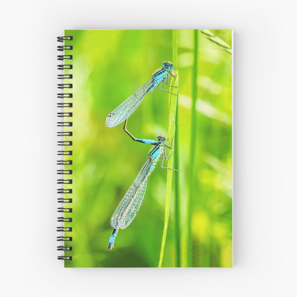 Item preview, Common Blue Macro Damselflies Mating designed and sold by Jim Key.
