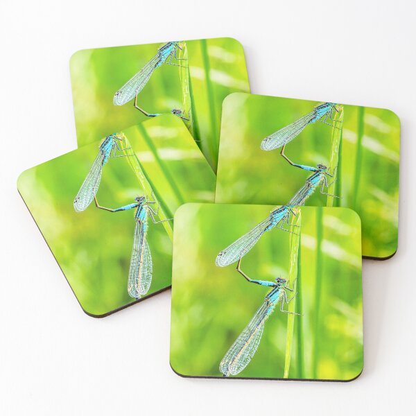 Item preview, Common Blue Macro Damselflies Mating designed and sold by Jim Key.