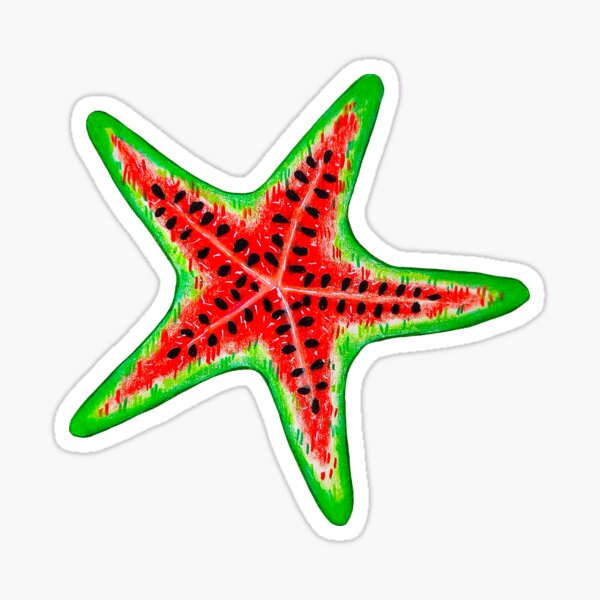 Watermelon starfish Sticker