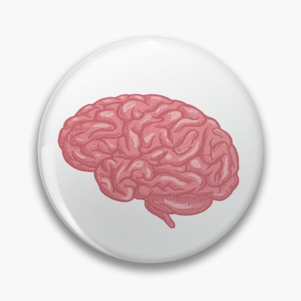 Item preview, Brain designed and sold by PonyoDD.