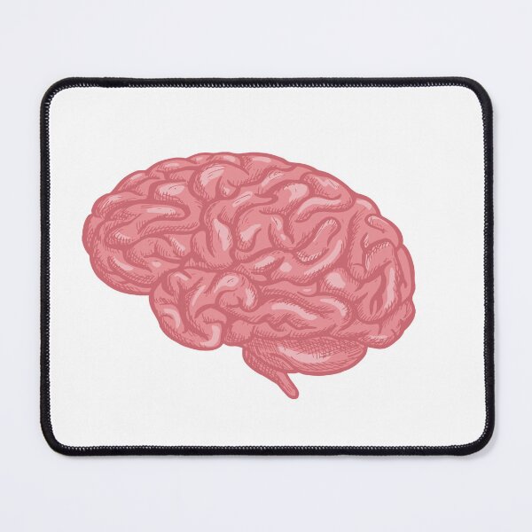 Item preview, Brain designed and sold by PonyoDD.
