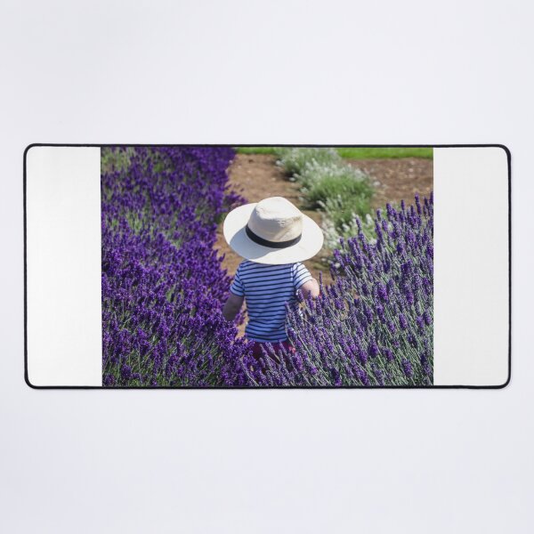 Item preview, Snowshill lavender fields designed and sold by Martin Fenton.