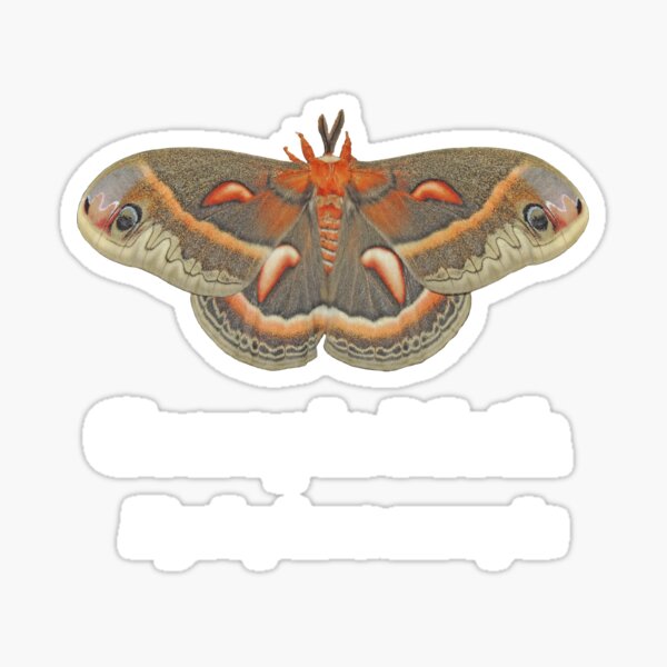 Cecropia Moth - White Lettering Sticker