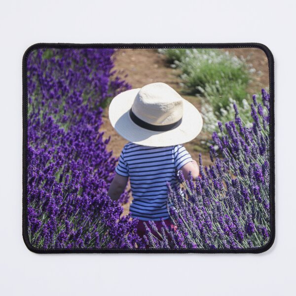 Item preview, Snowshill lavender fields designed and sold by Martin Fenton.