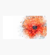Flower Flower Red Photographic Print