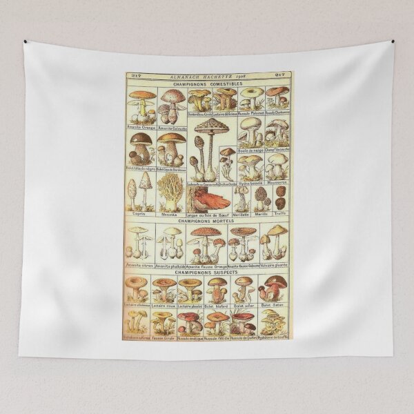 Item preview, Reino Fungi designed and sold by PatronesKawai.