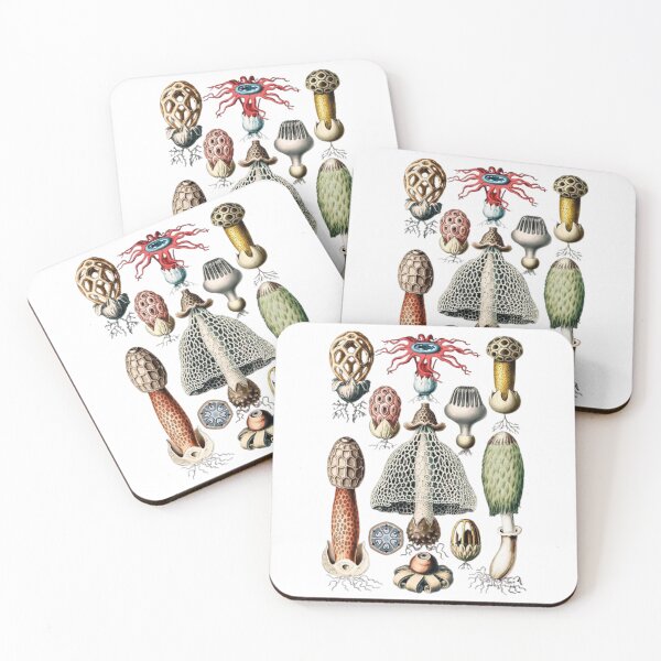 Item preview, Reino Fungi designed and sold by PatronesKawai.