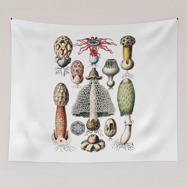 Item preview, Reino Fungi designed and sold by PatronesKawai.