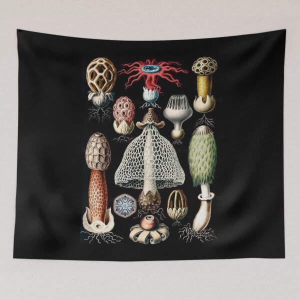 Item preview, Reino Fungi designed and sold by PatronesKawai.