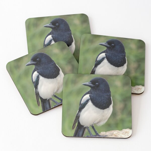 Item preview, Thieving Magpie designed and sold by Tom McPherson Photography.